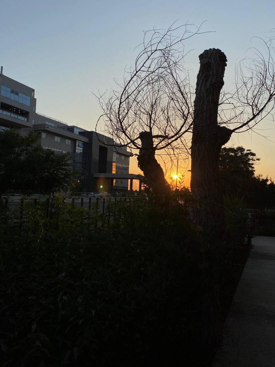 Mang'O Hostel อัคเทา ภายนอก รูปภาพ